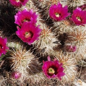 Meet your Posher, Annie